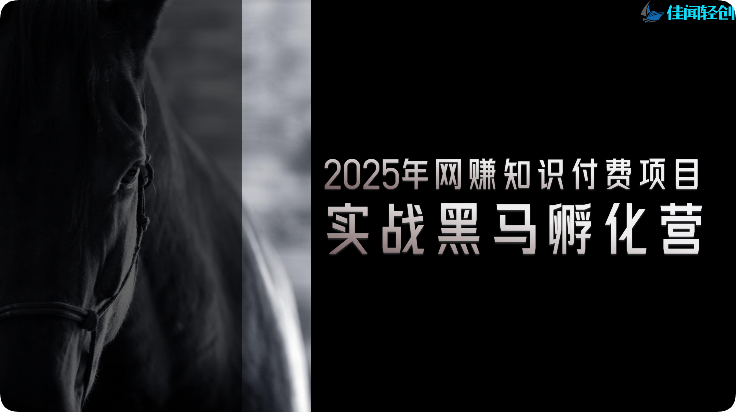 佳闻轻创：网创IP孵化开放加盟，开一个知识付费资源网站，小白也能月入5000+插图