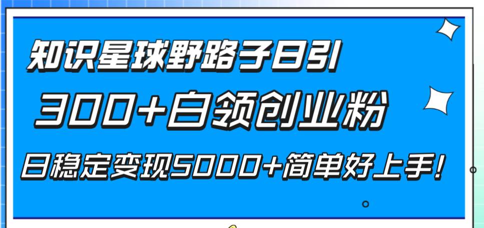 知识星球野路子日引300+白领创业粉，日稳定变现5000+简单好上手！插图